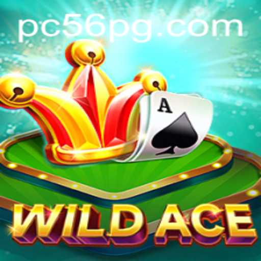Exploring WildAce: A New Player in the Gaming World